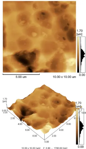 Figure 5. Surface images obtained by SEM of the carbon ilm on  the anodized surface.