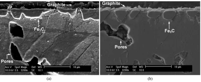 Figure 9 shows SEM surface micrographs of the samples  carburized at 500 °C for 3 hours