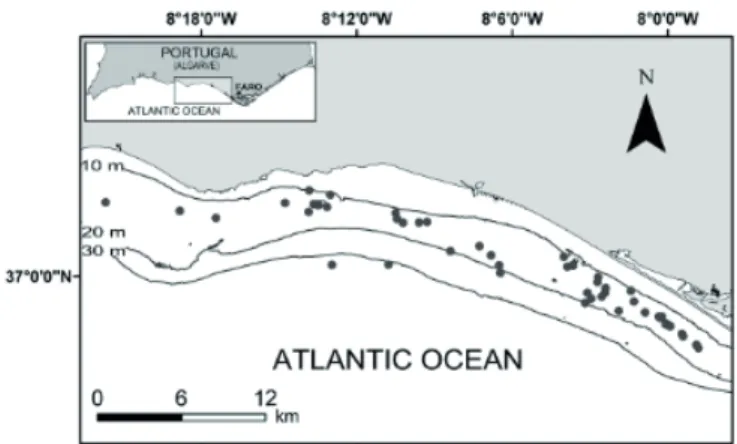 Fig. 1. Location of the experimental fishing operations (Algarve, South of Portugal, North-eastern Atlantic Ocean).