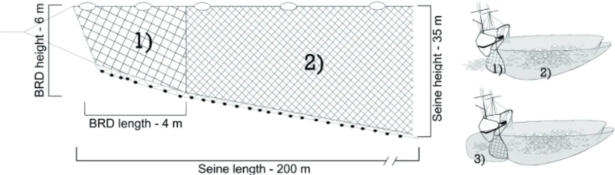 Fig. 2. Left: schematic diagram of the demersal purse seine net with the posterior wing tested as a BRD, (1)