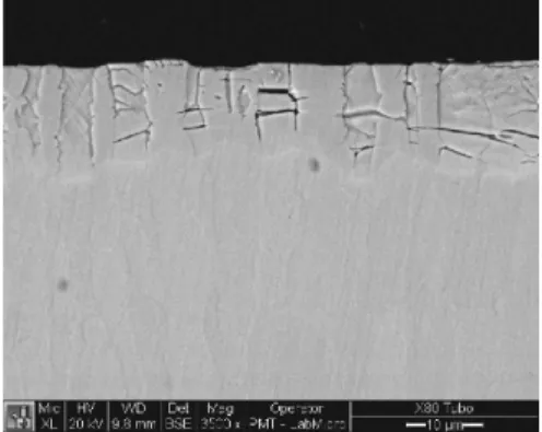 Table 1. Layer thickness obtained for each plasma nitriding treatment  for austenite and ferrite phases.