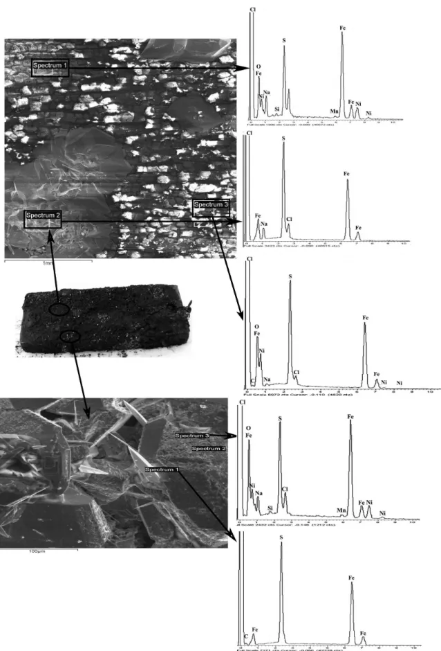 Figure 7. SEM and EDS characterization of the corrosion product ilm on the surface of the welded joint tested in solution 2, pH=3.0.