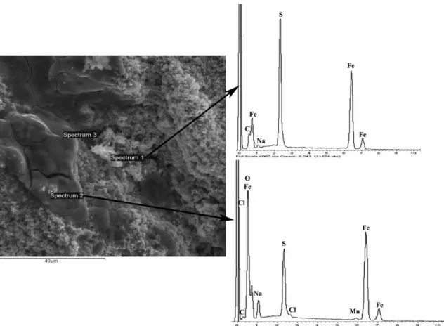 Figure 8. SEM and EDS characterization of the corrosion product ilm of the welded joint tested in solution 1, pH=3.0.
