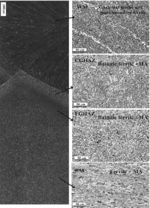 Figure 11. Optical microscopy characterization of localized attacks  suffered by different microstructures on the welded joint surfaces  after the electrochemical tests.