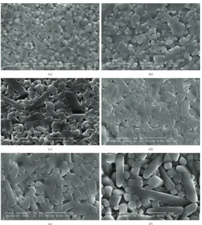 Figure  6. SEM micrographs of MgO doped samples conventionally sintered at 1500 °C/2h: (a) 0.5M, (b) 1M, (c) 2M; and at   1600 °C/2h (d) 0.5M, (e) 1M, (f) 2M.