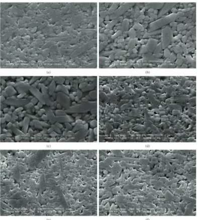 Figure 10.  SEM micrographs of samples fast sintered at a heating rate of 40 o C/min: (a) 0.5M, (b) 1M, (c) 2M, (d) 0.5L, (e) 1L, and   (f) 2L.