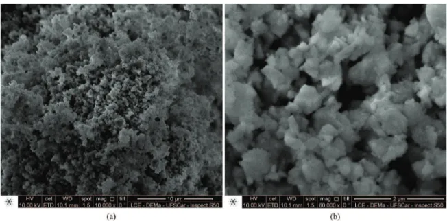 Figure 2. SEM micrographs of BSCF powder in two different magniications: 10000X (a) and 60000X (b).
