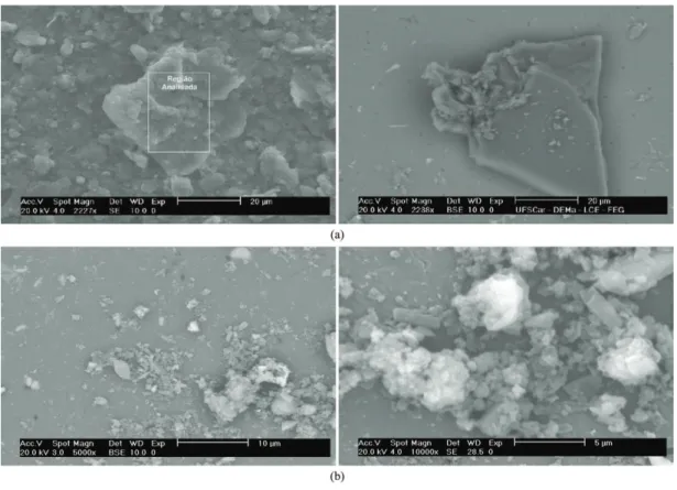 Figure 2. XRD of (a) kaolinitic clay and (b) RVFM.