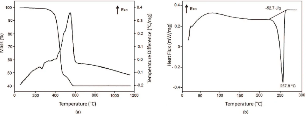 Figure 2. (a) TG/DTA curve of fragmented dosemeters and (b) DSC curve obtained during heating of the dosemeter polymer layer.