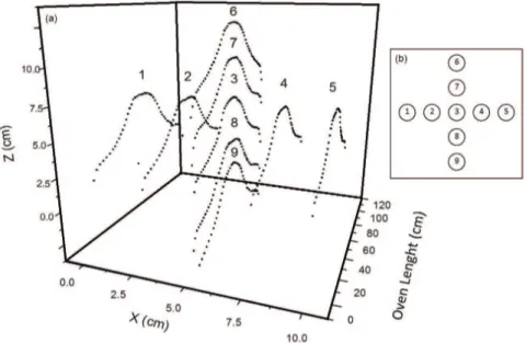 Figure 4. (a) Oven temperature behavior along each tube and (b) Related oven holes labelled by their different positions.