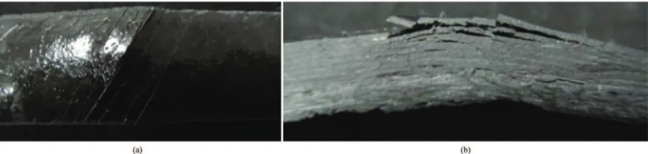 Figure 6. Macroscopic aspect of the failure of the three-point bending specimens. The crack started from the tensile stressed surface