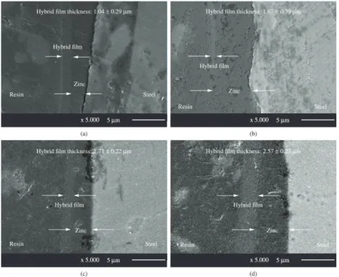 Figure 4. Cross section micrographs obtained by SEM analysis for the hybrid ilms: (a) F0P90, (b) F1P90, (c) F2P90 and (d) F3P90.