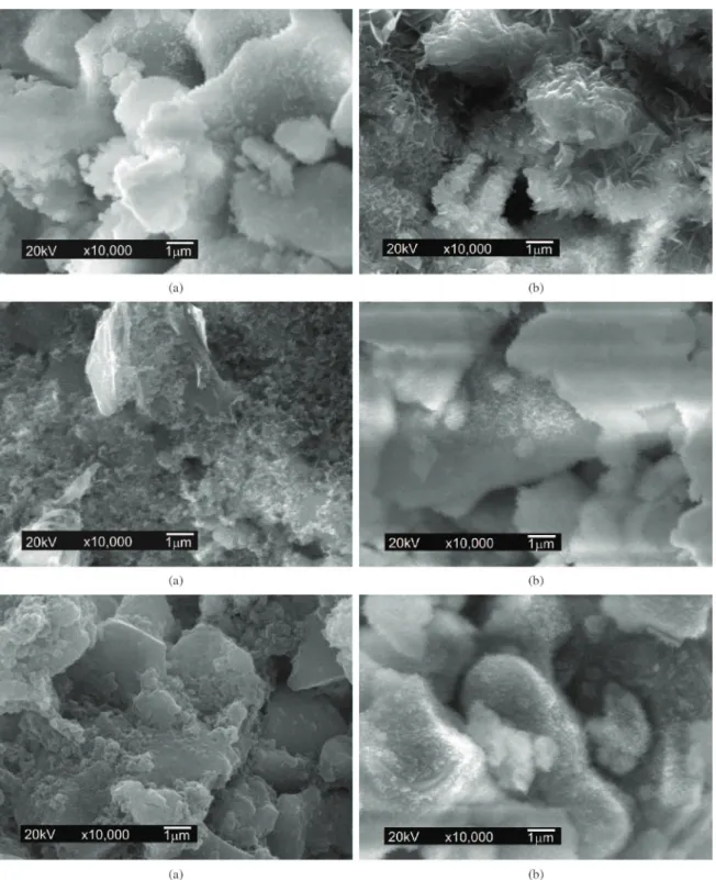 Figure 4. SEM micrographs of surface (a) and fracture surface (bulk) (b) at 24h of α-TCP, TCP-5A, and TCP-10A.