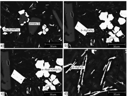 Figure 2: SEM-micrographs of Fe-intermetallic compounds formed in the Al-20Si-1.5Fe-0.7Mn alloy.