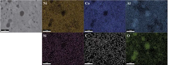 Figure 7: SEM–EDS mappings of 5% SiC reinforced AlCoNi sample after sintering.