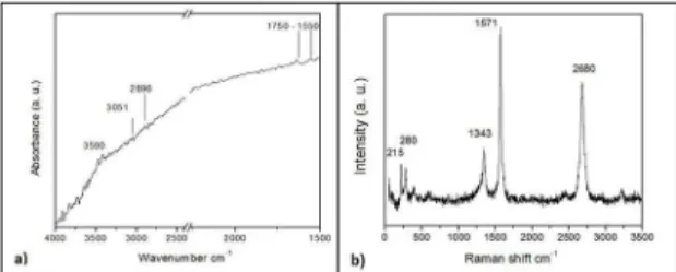 Figure 2. CNTs spectra: a) FTIR, b) Raman.