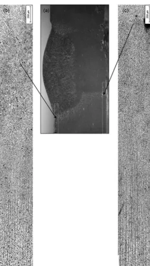 Figure 7: (a) Weld cross-section macrograph of the sample B4. 