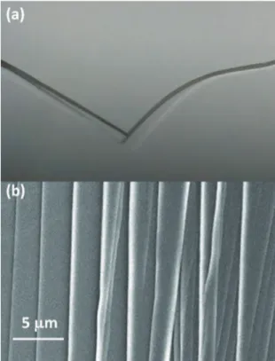 Figure 3: (a) outer surface and (b) SEM image obtained near the  crease mark of the bent alloy ribbon Fe 88 Mo 2 Si 5 B 5  annealed at 823  K for 600 s.