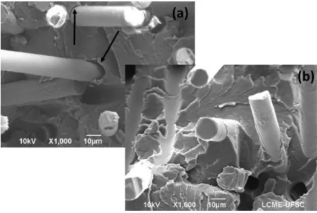 Figure 4: SEM micrograph (x1,000) of aged (a) and virgin (b)  samples, indicating the irst poorer interfacial bonding between  ibers and matrix.