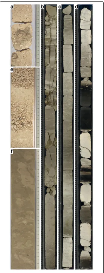 Fig. 6 Core photographs of the drift and carbonate platform facies discussed in the text