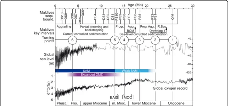 Fig. 8 Oligocene to Miocene evolution of the Maldives carbonate platform with ages of the sequence boundaries and key intervals representing changes of platform configuration