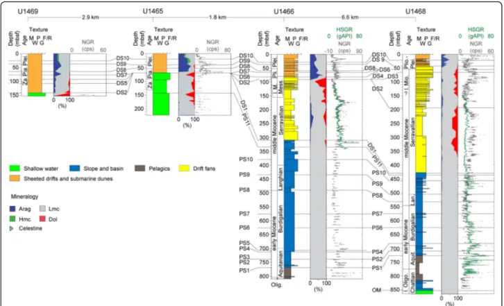 Fig. 4 Sequence stratigraphic correlation of IODP Expedition 359 sites along the northern transect of wells in the Maldives (see Fig