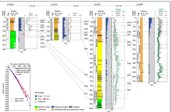 Fig. 5 Sequence stratigraphic correlation of IODP sites along the southern transect of wells in the Maldives (see Fig