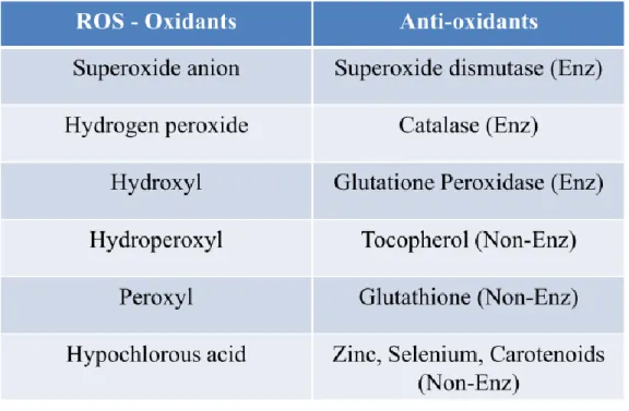 Table  1.  The  most  common  Reactive  Oxygen  Species  and  Antioxidants.  Cells  are  exposed  to  a  multitude  of  ROS  with  different  origins,  reactivity  and  stability