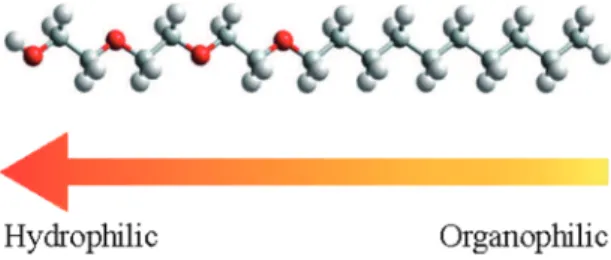 Figure 1:  Representation of the C 10 E 3  nonionic tensioactive molecule  where the oxygen, carbon and hydrogen atoms are in red, gray and  white colors, respectively.