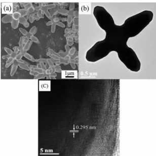 Figure 2: (a) SEM, (b) TEM, and (c) HRTEM images of PbS.