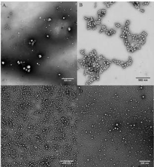Figure 3: Transmission electron micrographs of the nanoparticles  after iltration through 0.45 μm membranes and their histograms for: 