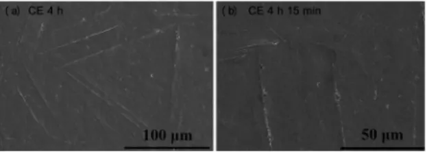 Figure 8: Growth of CE craters nearly perpendicular to martensite  traces on a sample that had undergone the CE process for 18.5 h.