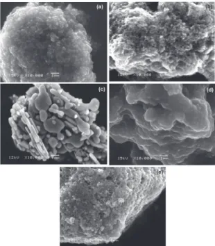 Figure 2 shows the efect of SEM on the samples. It  can be seen that TiO 2  and ZnO is coating the surface of  MWCNTs (Figure 2)