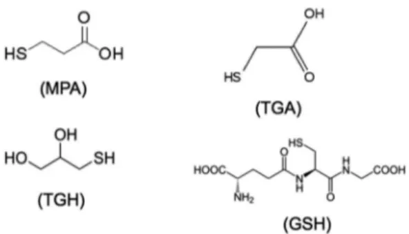 Figure 1: Structure of the capping agents: 3-mercaptopropionic  (MPA), thioglycolic acid (TGA), thioglycerol (TGH), and  glutathione (GSH).