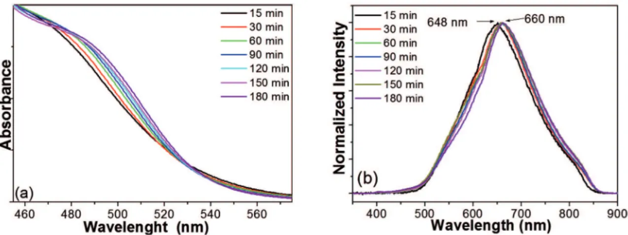 Figure 2: UV-visible absorption (a) and luorescence (b) spectra of CdSe/MPA QDs at diferent reaction times.