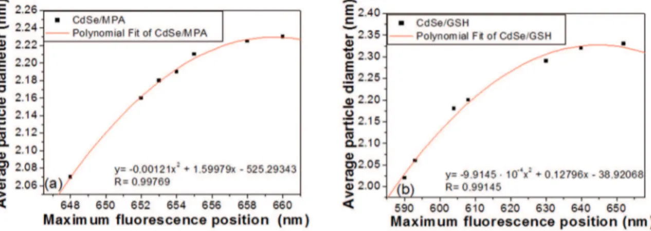 Figure 9: Calibration curves for the position of maximum luorescence versus the diameter calculated for QDs: (a) MPA-capped CdSe  QDs and (b) GSH-capped CdSe QDs.