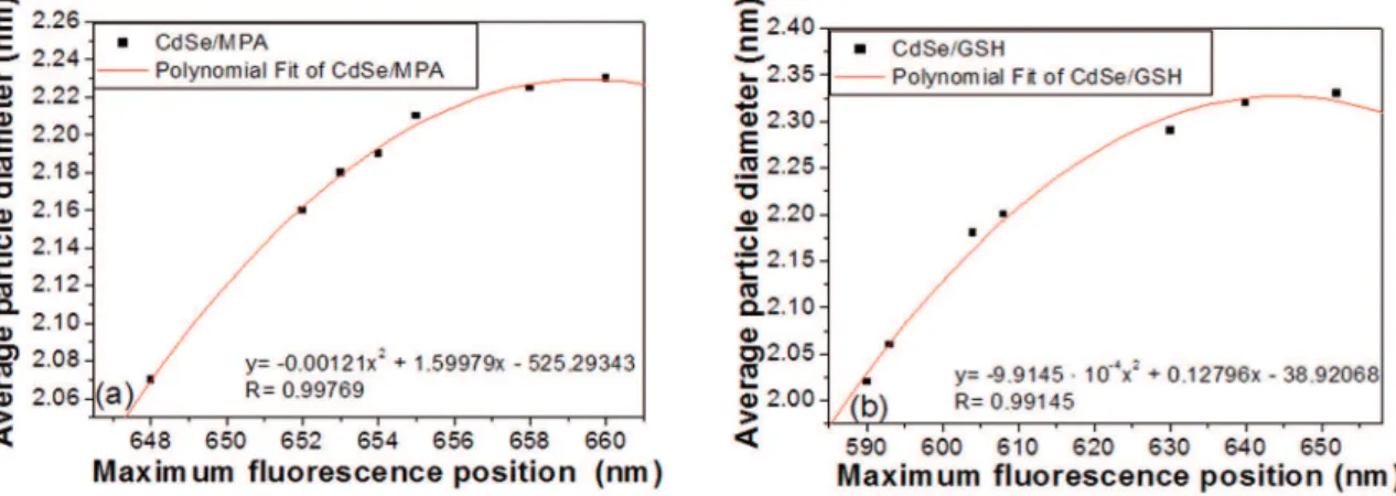 Figure 9: Calibration curves for the position of maximum luorescence versus the diameter calculated for QDs: (a) MPA-capped CdSe  QDs and (b) GSH-capped CdSe QDs.