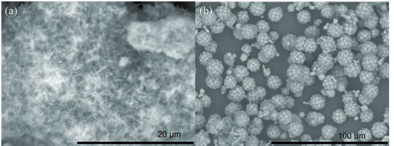 Figure 10: SEM images of samples obtained with ionic liquid by method B - (a) 3 days in stirring (TON) and (b) 3 days in static (MFI).