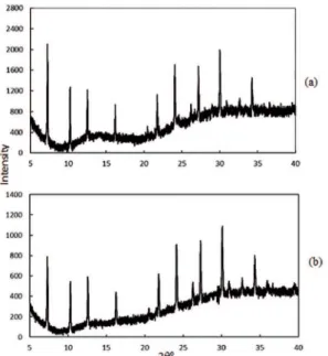 Figure 6: FEGSEM micrographs of the coating grown by using  substrate heating method at water bath and heating resistance  temperatures of 30 0C and 140 0C, respectively, after 42 h of  synthesis, as shown at magniications of (a) x1000 and (b) x5000.