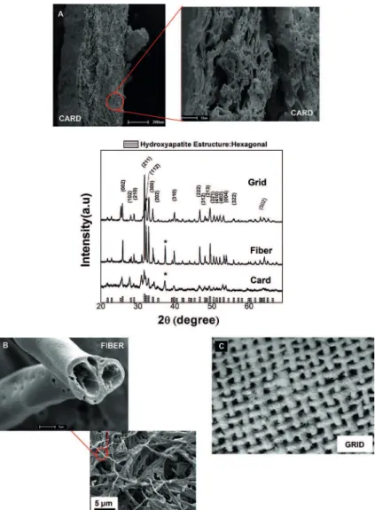 Figure 5. XRD and SEM images of (A) Card, (B) Fiber cotton, (C) Grid shape template of hydroxyapatite at 600 °C for 3 h.