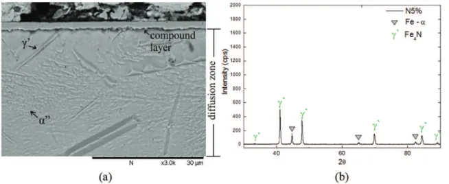 Figure 4: Sample N3%: (a) scanning electron microscopy and (b) XRD.