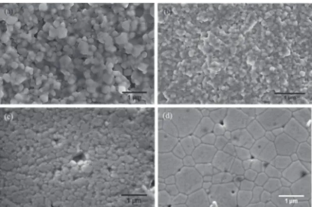Figure 4: SEM micrographs of the sintered samples: (a) CGd-1200- CGd-1200-1000 °C/10h fracture sintered sample, (b) CGd-0.4Zn-CGd-1200-1000-900 