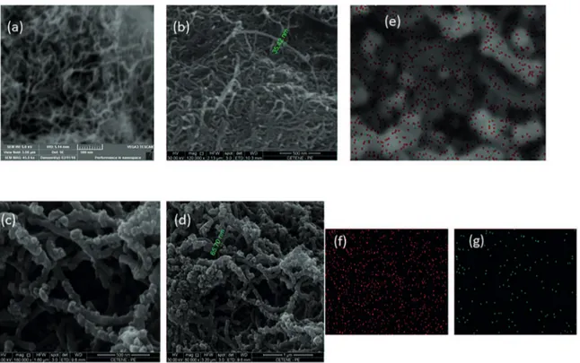 Figure 2: SEM images of MWCNT (a), MWCNT(500 mg)@MnO 2  complex (b), MWCNT (500 mg)@MnO 2 @PPy composite (c and d),  overlaid EDX image of MWCNT@MnO 2 @PPy composite (500 mg) (e) and identiication of oxygen (f) and Mn (g) – values indicated  in the Figs