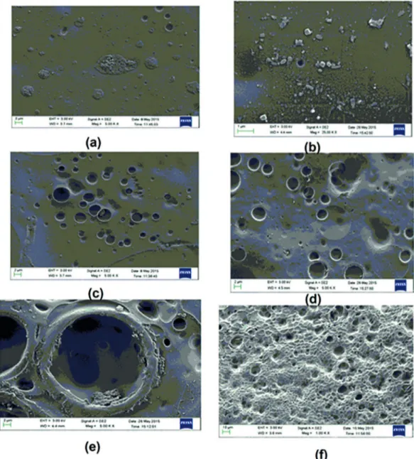Figure 9: SEM photographs of pure and Mn 2+  doped PVC polymer ilms (a) pure (b) 1mol% (c) 2 mol% (d) 3 mol% (e) 4 mol% (f) 5 mol%.