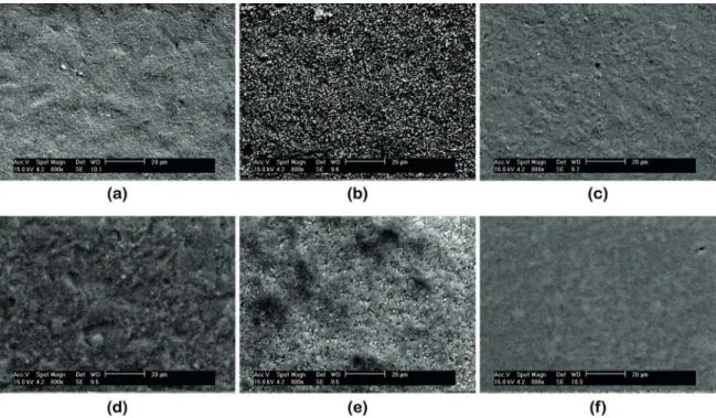 Figure 4: Top-down SEM images of nitrided and coated surfaces: (a) ε-phase surface; (b) γ’-phase surface; (c) difusion surface; (d)  coated ε-phase surface; (e) coated γ’-phase surface; (f) coated difusion surface.