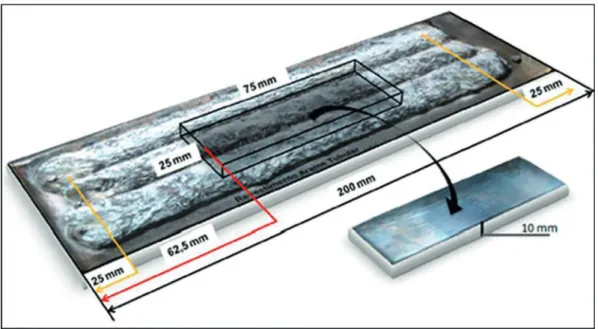 Figure 2: Scheme of the sample geometry and selected area for microhardness and wear properties tests 15 .