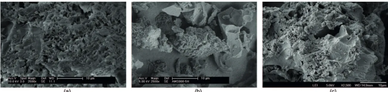 Figure 3:  Scanning electron micrographs of powders synthesized at: (a) 700 °C/2h, (b) 900 °C/5h and (c) 1000 °C/5h.