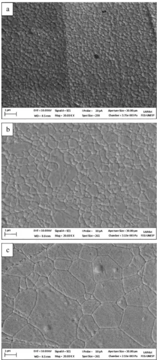 Figure 2 presents X-ray difraction of sintered samples. 