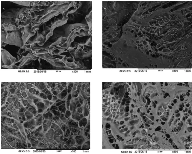 Figure 3: Supericial SEM Images of scafolds obtained with diferent GE:CH ratios: 9:1 (A), 7:3 (B), 5:5 (C) and 3:7 (D).