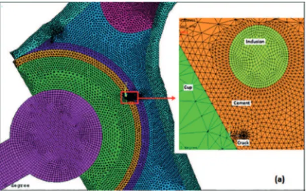 Figure 15: Typical mesh model near the inclusion and the crack.